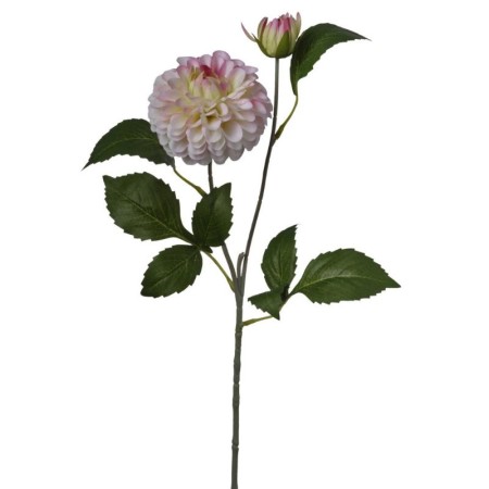 Zinnia ramo h60cm Cream Pink