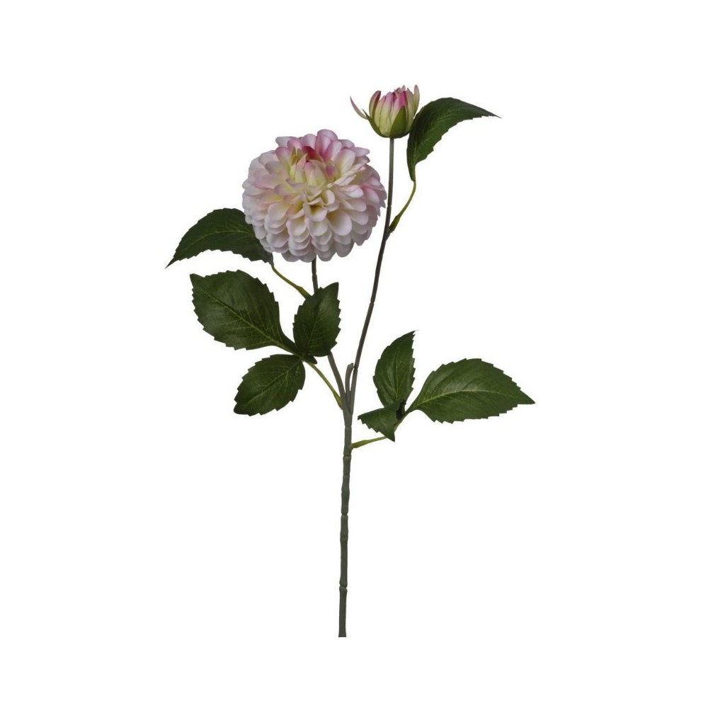 Zinnia ramo h60cm Cream Pink