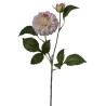 Zinnia ramo h60cm Cream Pink
