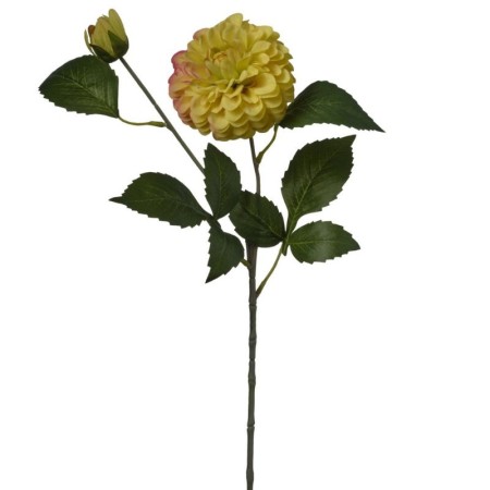 Zinnia ramo h60cm Yellow Orange