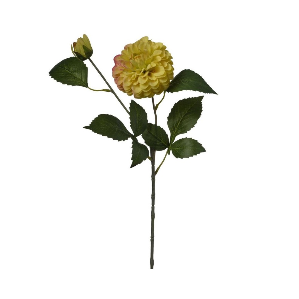 Zinnia ramo h60cm Yellow Orange