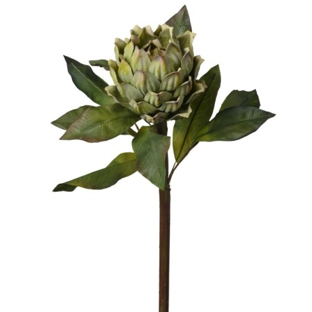 Protea ramo h61.5cm Green