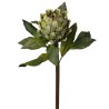 Protea ramo h61.5cm Green