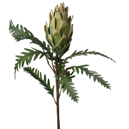 Protea ramo h73cm Green