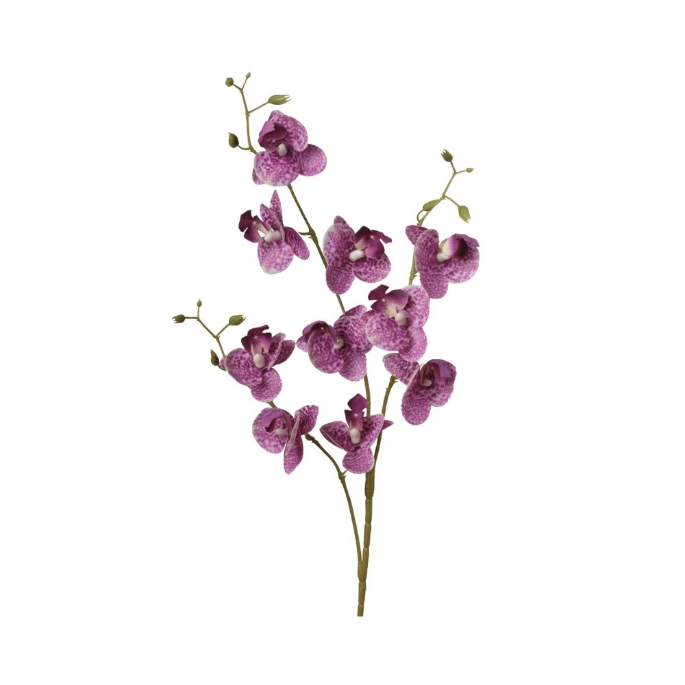 Phalenopsis ramo h83cm Cream Beauty
