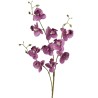 Phalenopsis ramo h83cm Cream Beauty