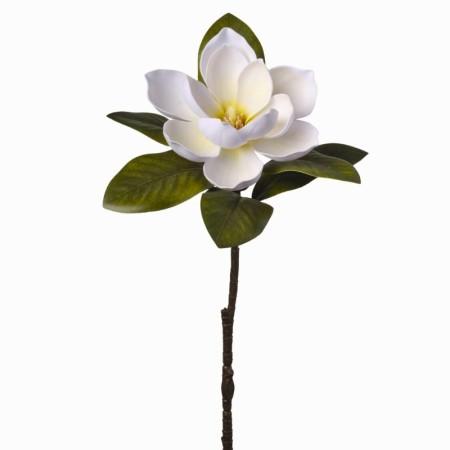 Magnolia ramo h68cm Cream