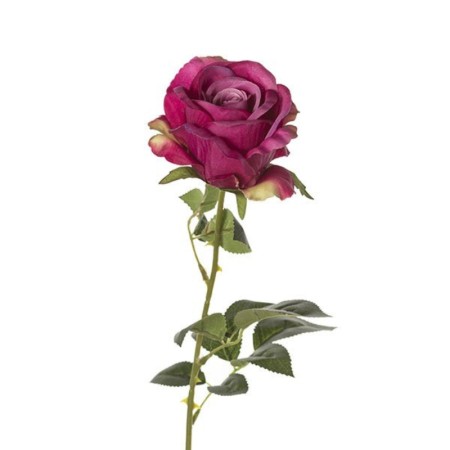 Rosa ramo h66cm Beauty