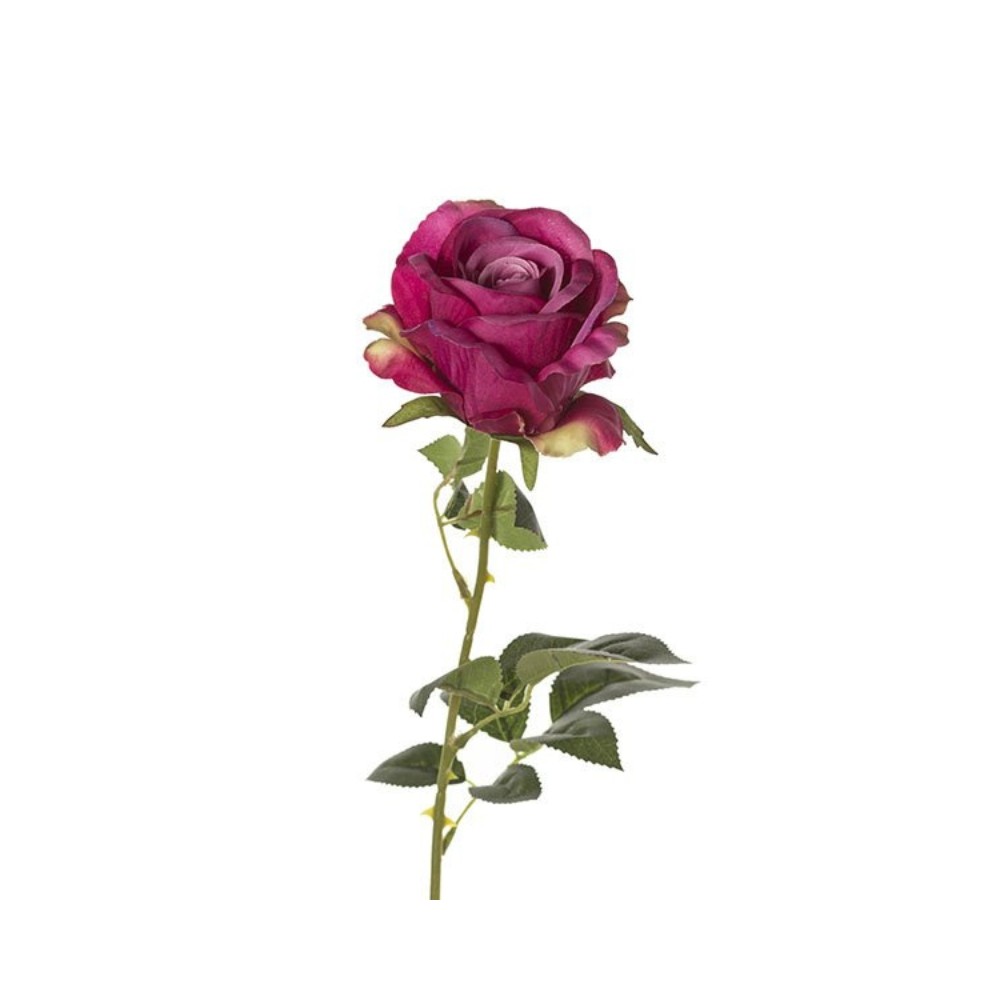 Rosa ramo h66cm Beauty