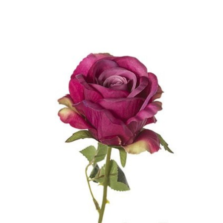 Rosa ramo h66cm Beauty