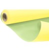 Bobina Duo Pastel h79cm 40mt Yellow-Green