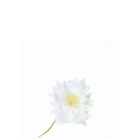 Fiore per bomboniera "Margherita" 6pz. Bianco