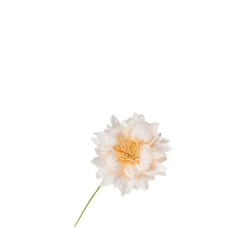 Fiore per bomboniera "Margherita" 6pz. Cipria