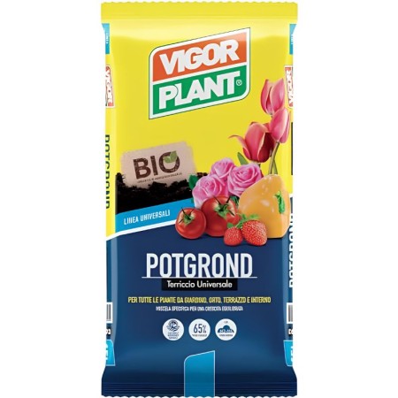 Terriccio universale Vigorplant 45tl