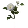 Zinnia ramo h60cm Cream